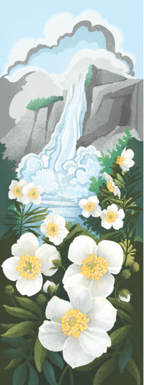 Point Reyes Myriorama card 3