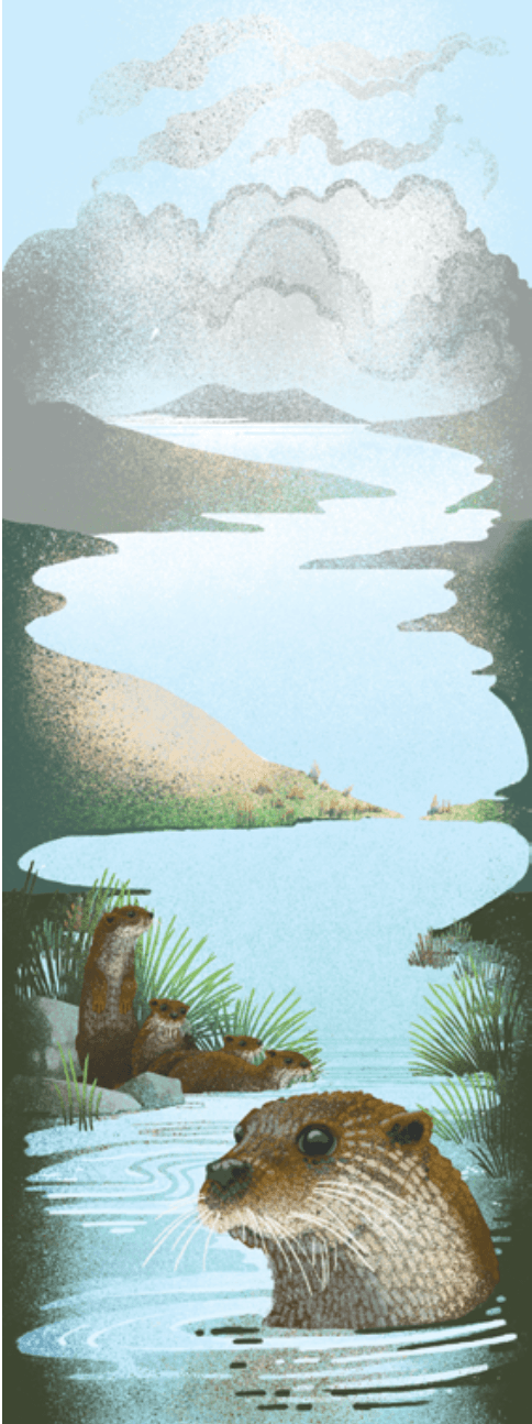 Point Reyes Myriorama card 1