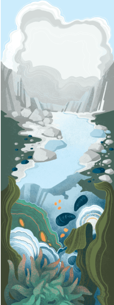 Point Reyes Myriorama card 3