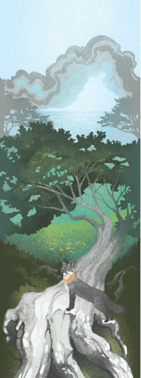 Point Reyes Myriorama card 1