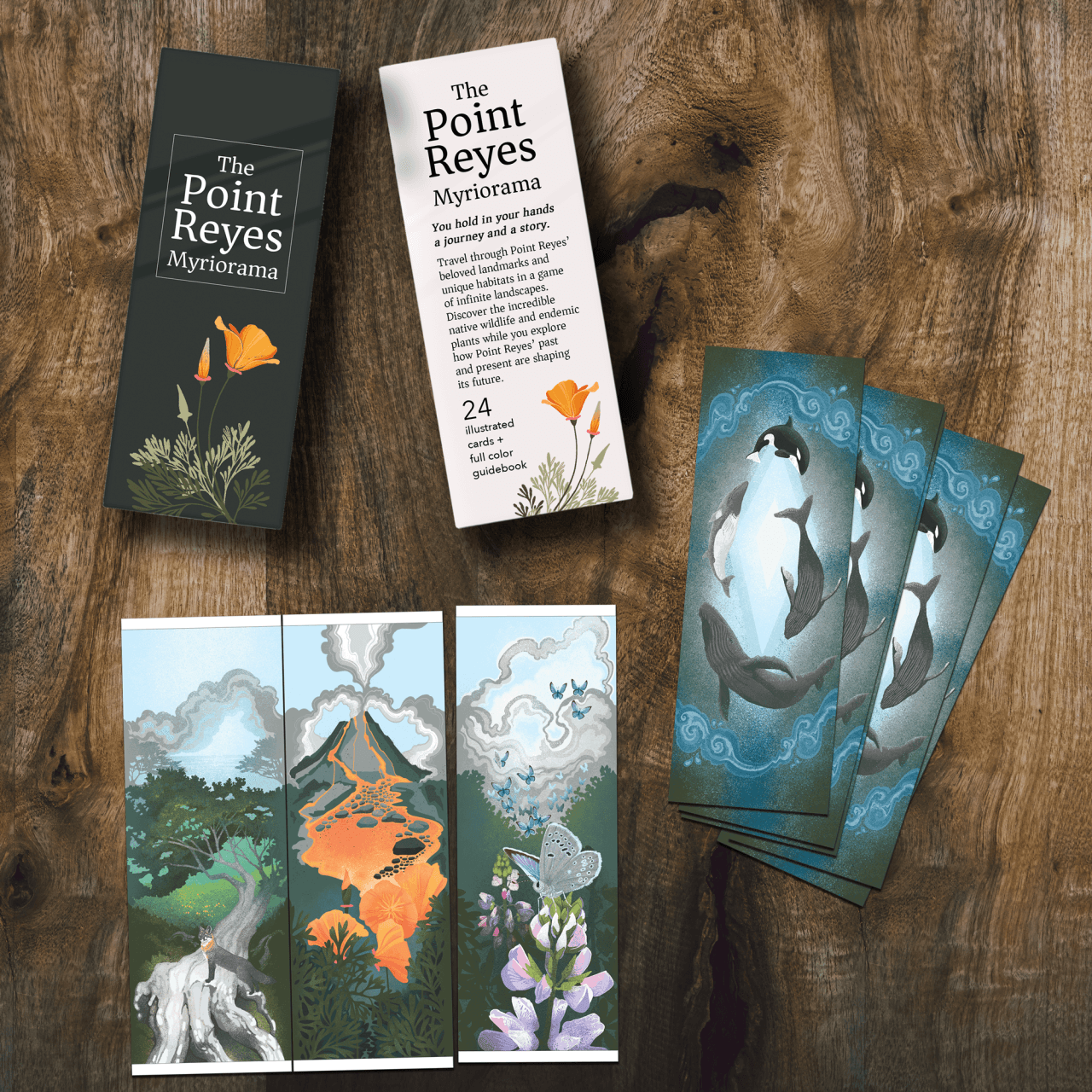 Point Reyes Myriorama cards